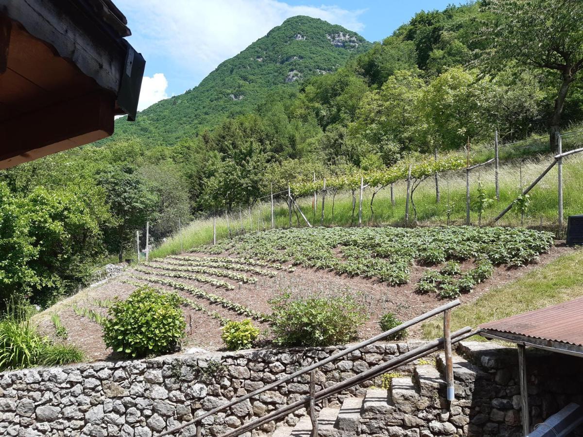 Ca' Berti Appartamento Con Terrazza Ville Del Monte Тенно Экстерьер фото